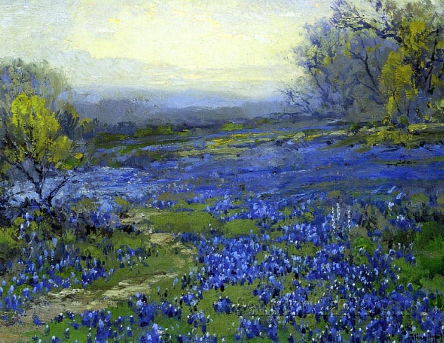 Morning in the Bluebonnets