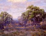Brush Country Landscape