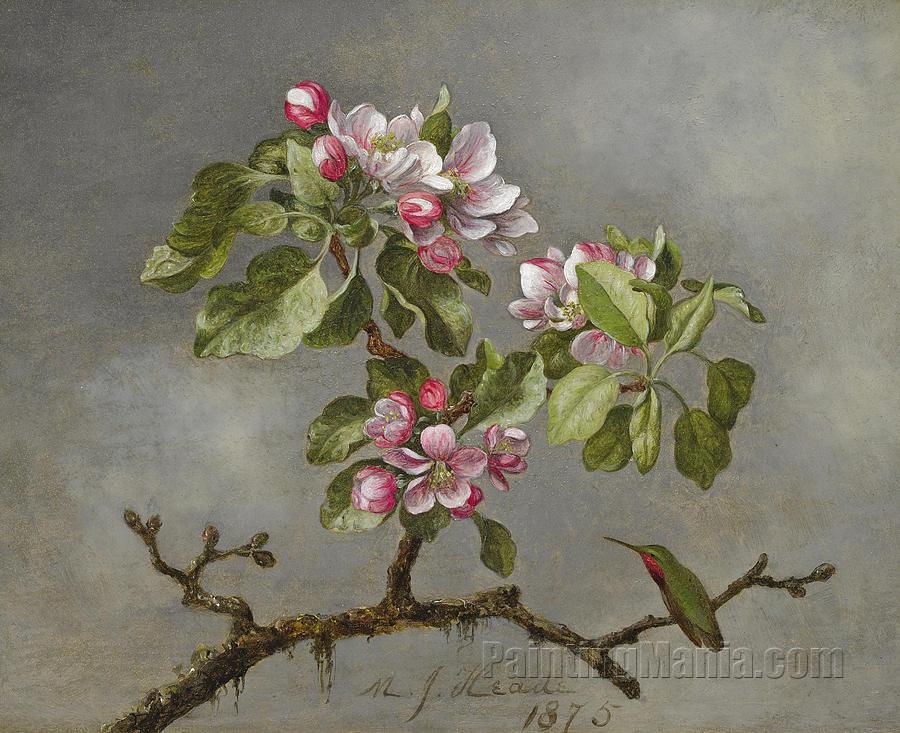 Apple Blossoms and Hummingbird 2