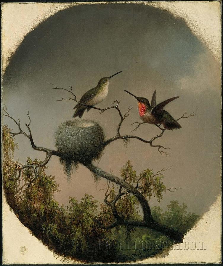Hummingbirds with Nest