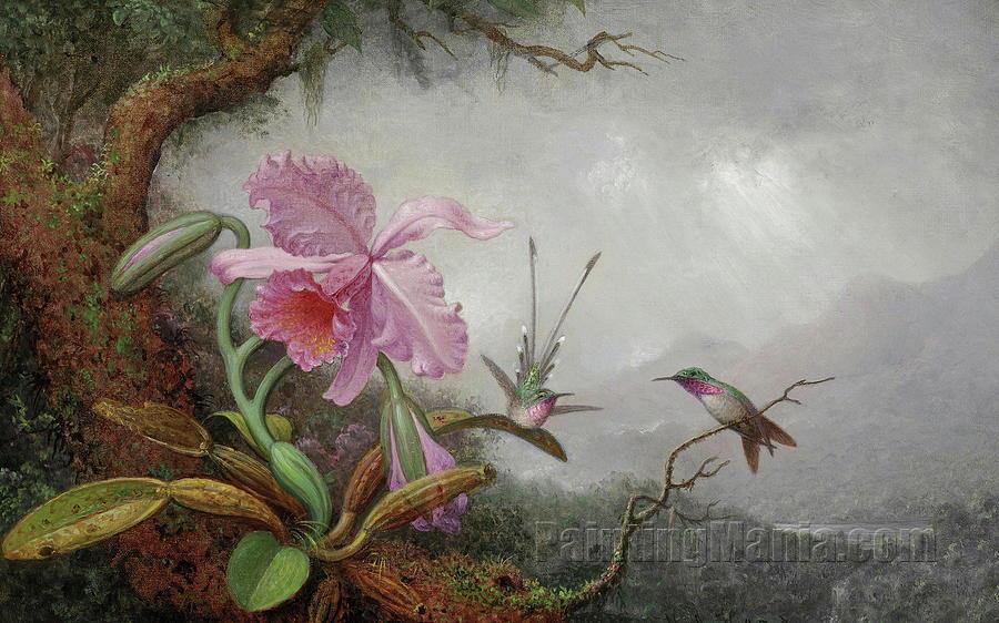 Hummingbirds and Orchids 2