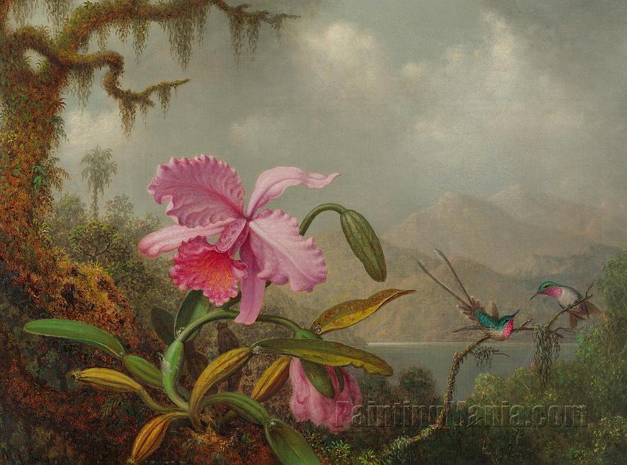 Hummingbirds and Orchids