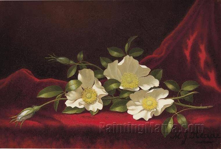 Still Life with Cherokee Roses