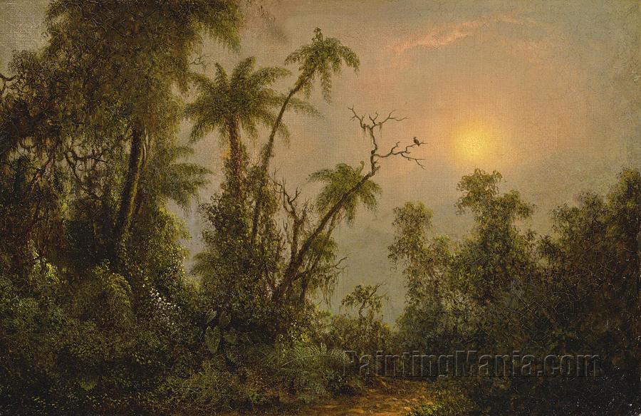 Tropical Forest Scene
