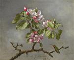 Apple Blossoms and Hummingbird 2