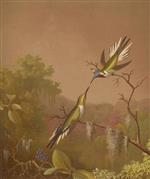 Brazilian Hummingbirds II 2