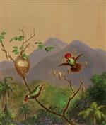 Brazilian Hummingbirds III