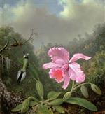 Still Life with an Orchid and a Pair of Hummingbirds