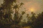 Tropical Forest Scene