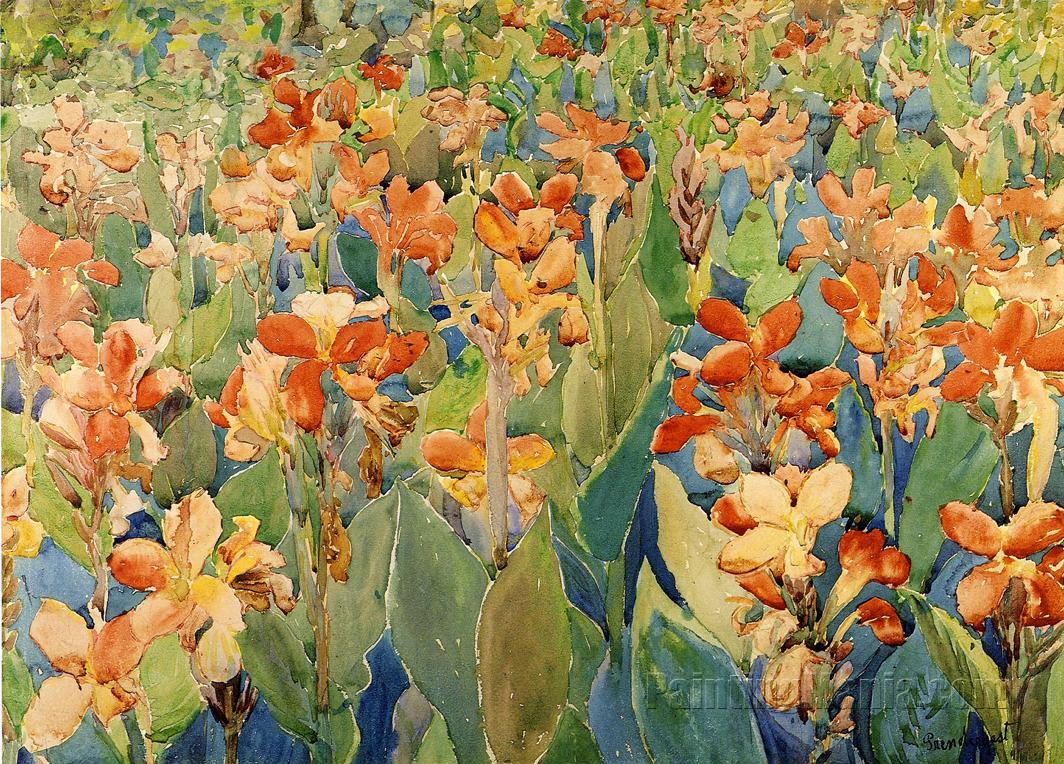 Bed of Flowers (Cannas or The Garden)