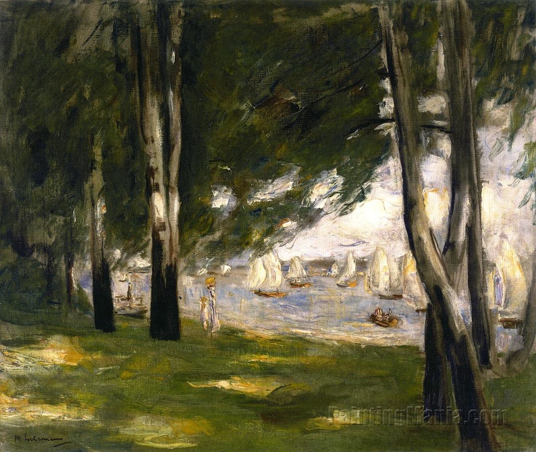 Birches on the Wannsee Shore toward the East