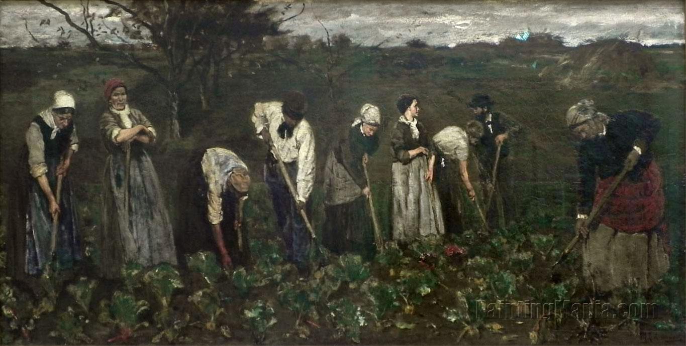 Workers on the Beet Field