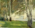 Birch Trees on the Banks of Wannsee