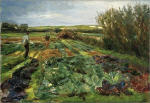 The Cabbage Field