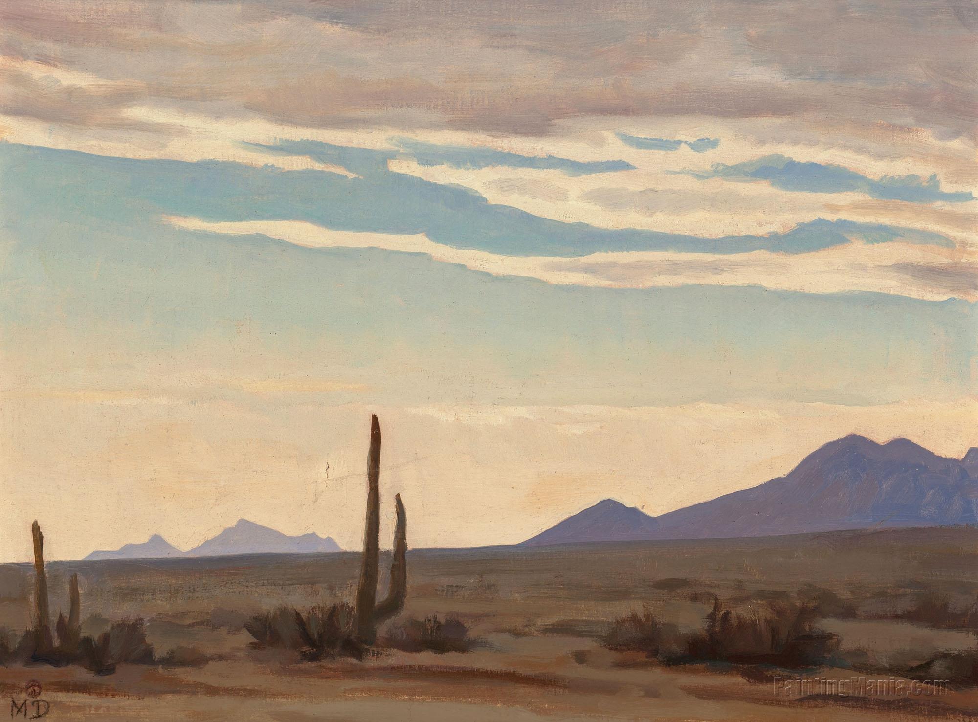 Desert Sky at Evening, Tucson, Arizona