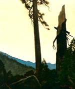 'Mountain Twilight' - Tahoe, CA