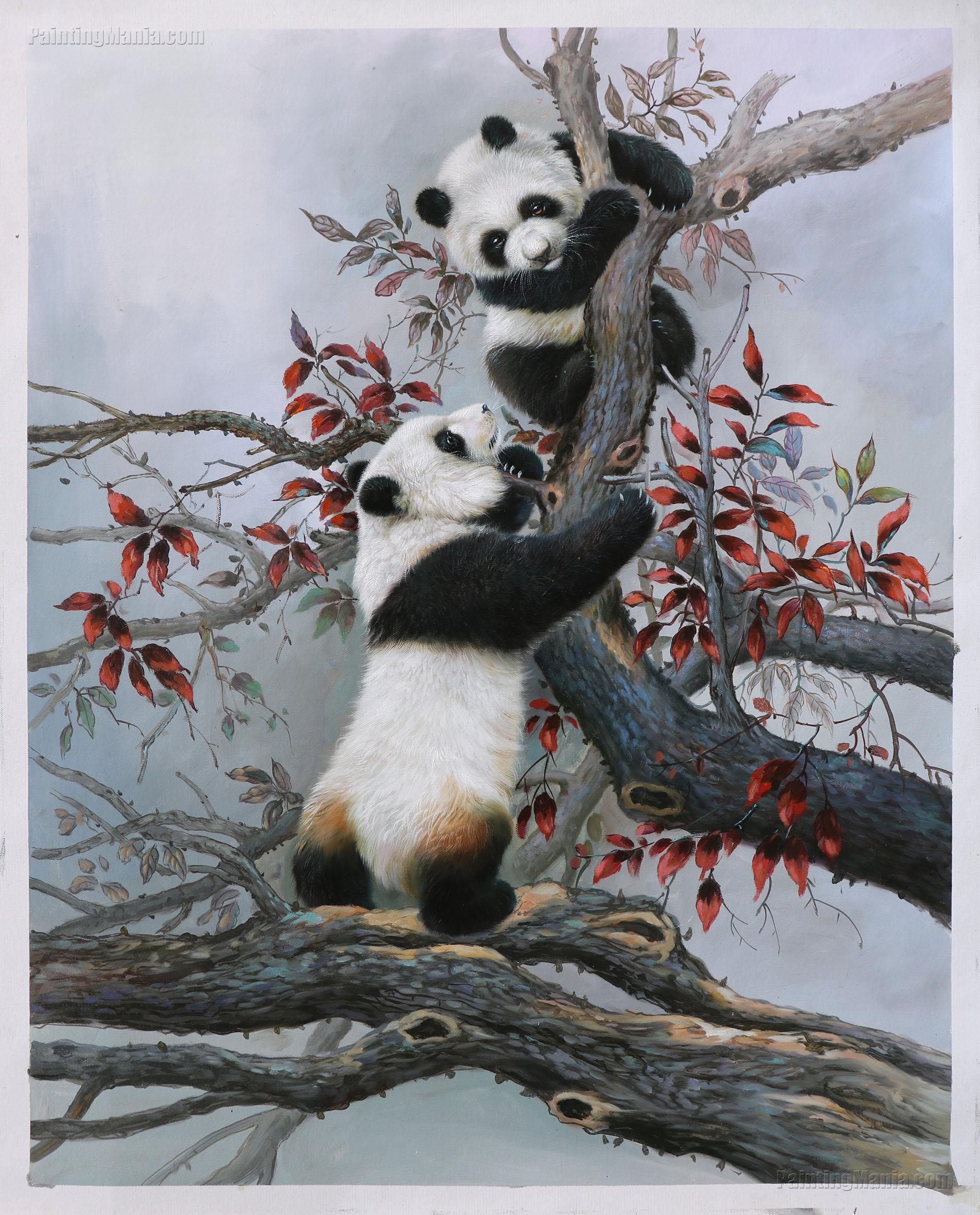 Panda Cub Climbs a Tree