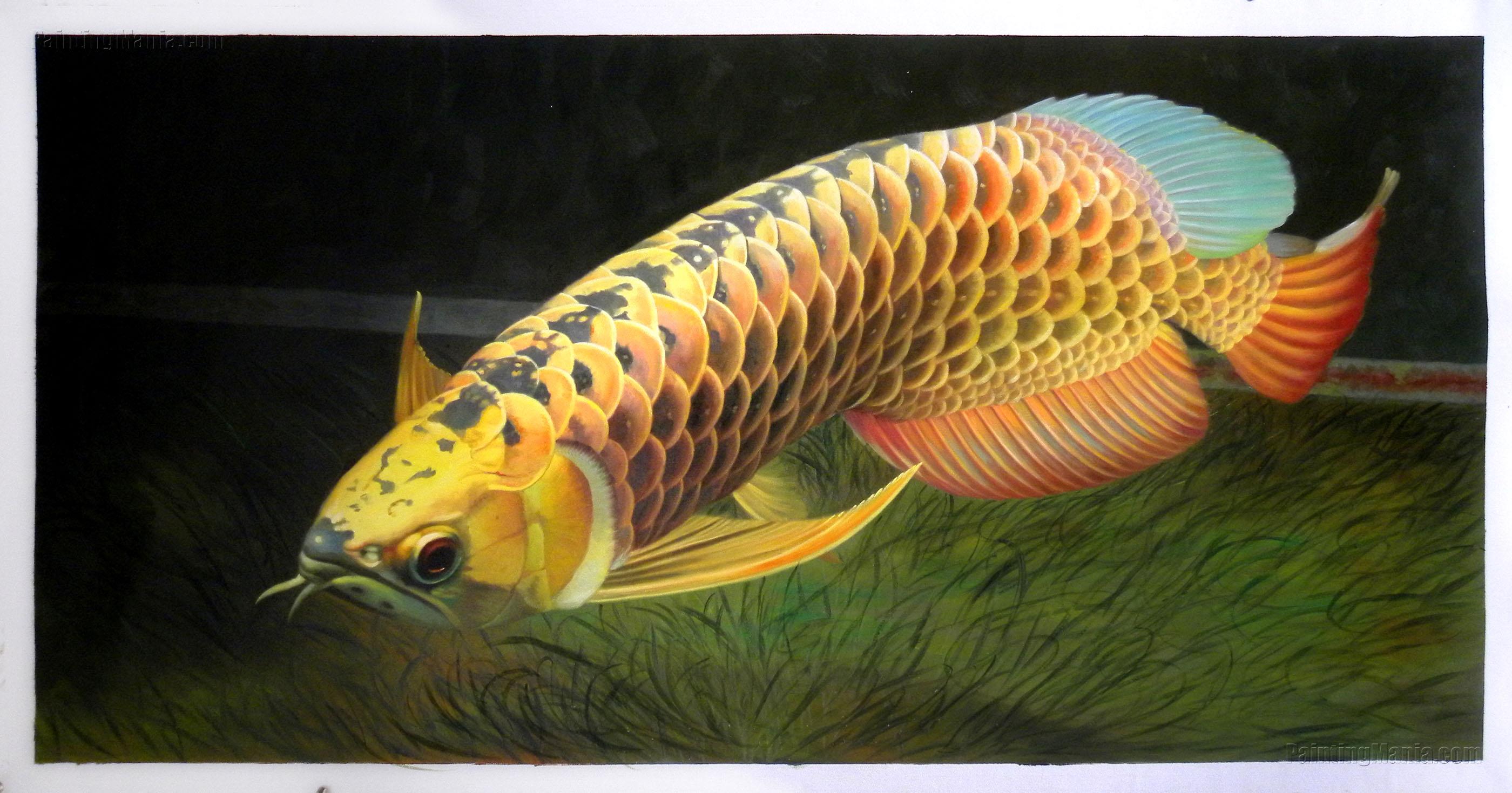 Scleropages Formosus,Asian Arowana, Asian Bonytongue, Golden Arowana, Golden Dragon Fish