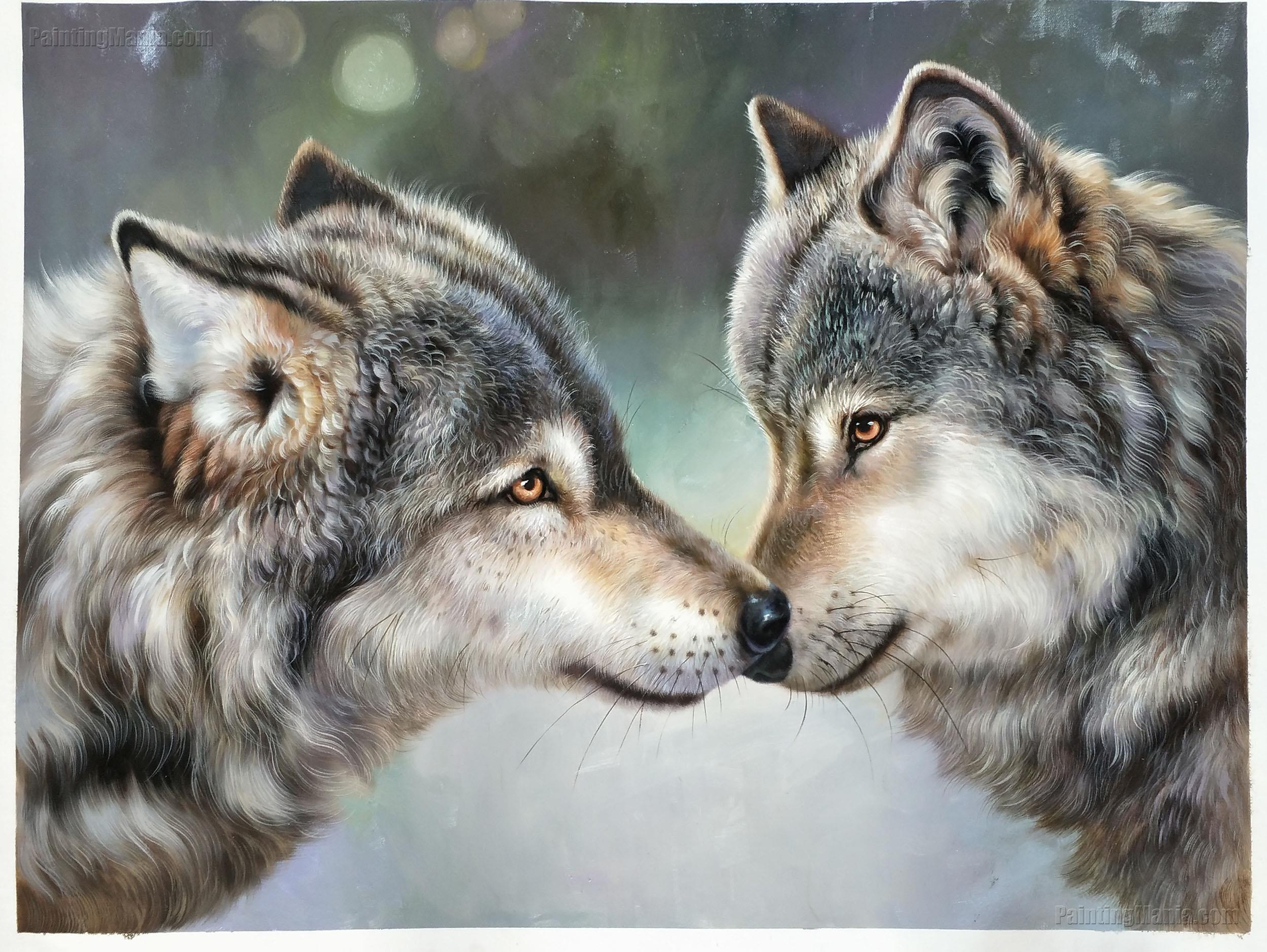 Sweet Gray Wolf Couple Portrait
