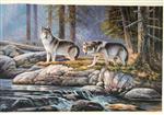 Wolves by the Forest Brook