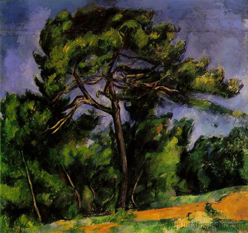 The Great Pine 1892-1896