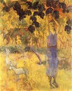 Man Picking Fruit from a Tree