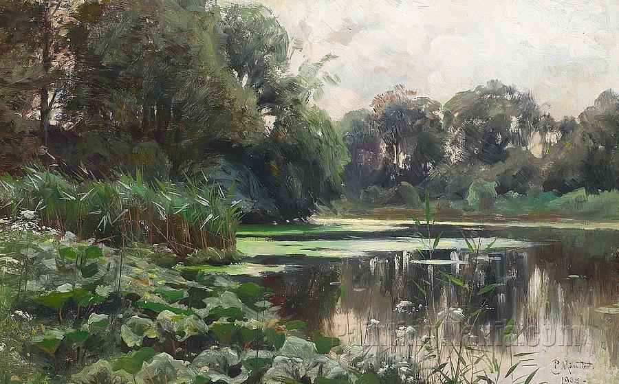 A forest pond with water-lilies