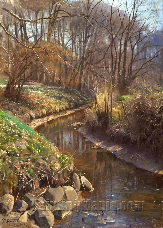 Spring at the Forest Stream