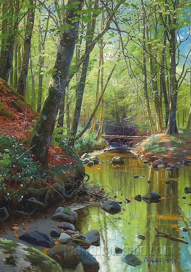 A stream running through a forest in springtime