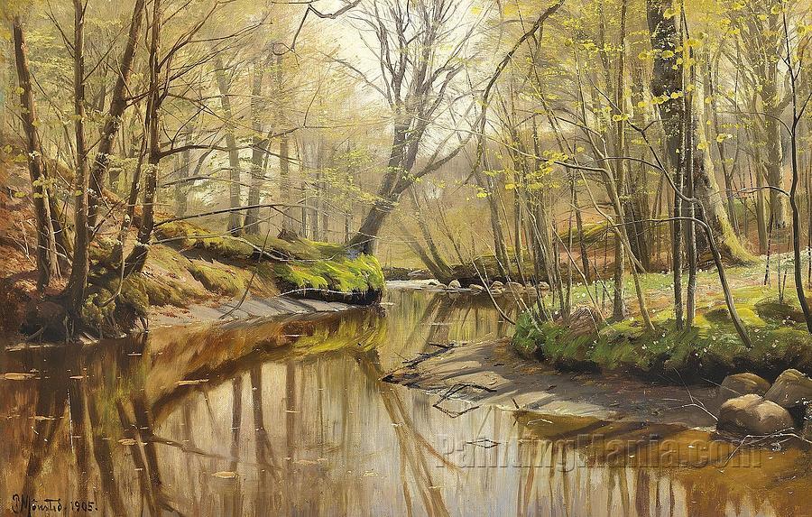 Woodlands in Spring with a Stream