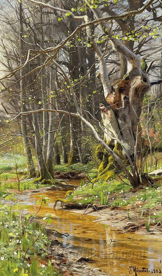 In the woods in the early spring near Soro