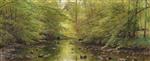 Springtime with a Stream Running through the woods Dansk Alob I Skoven Forar