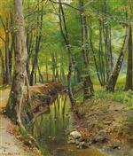 A Stream in the Forests of Moesgaard