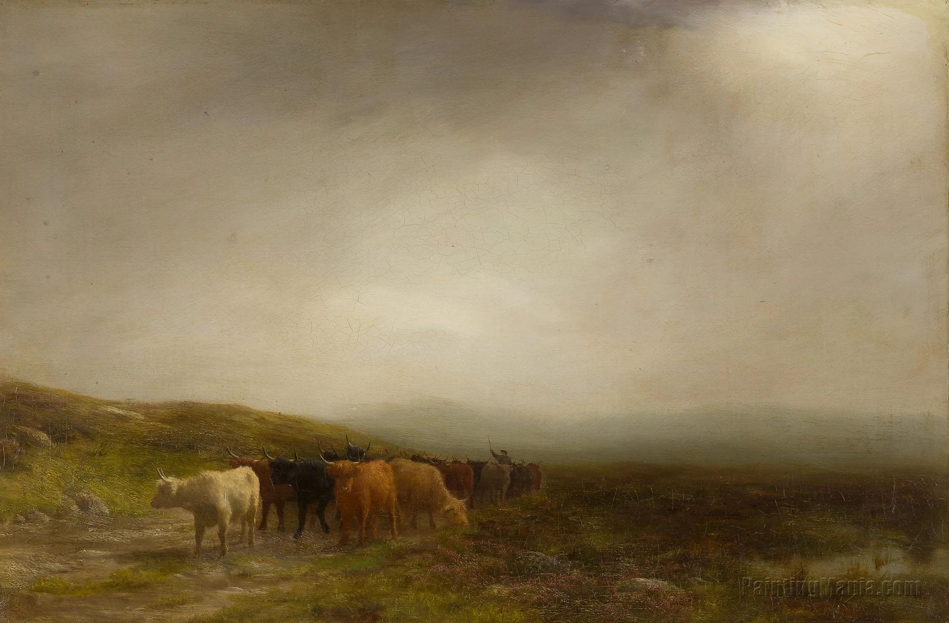 Cattle on a Misty Hillside