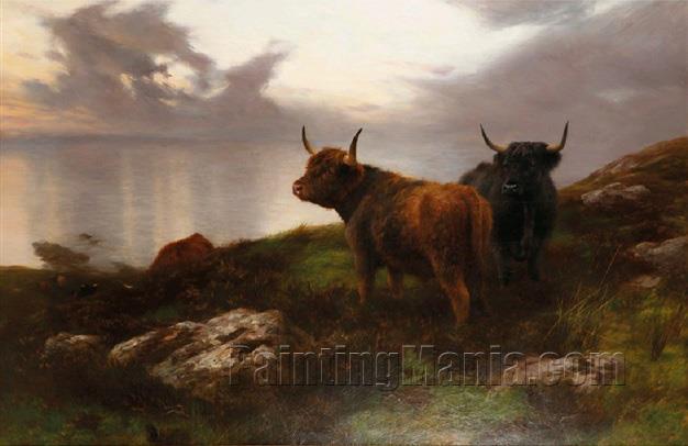 Highland Cattle in an Extensive Evening Moorland and Seascape