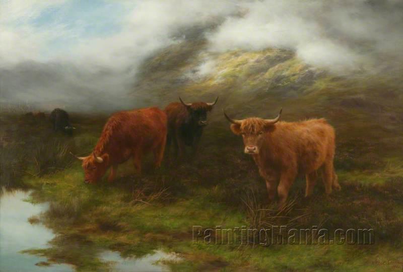 Highland Cattle, Perthshire