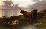 Highland Cattle in an Extensive Evening Moorland and Seascape