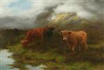 Highland Cattle, Perthshire
