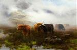 Moorland and Mist 2