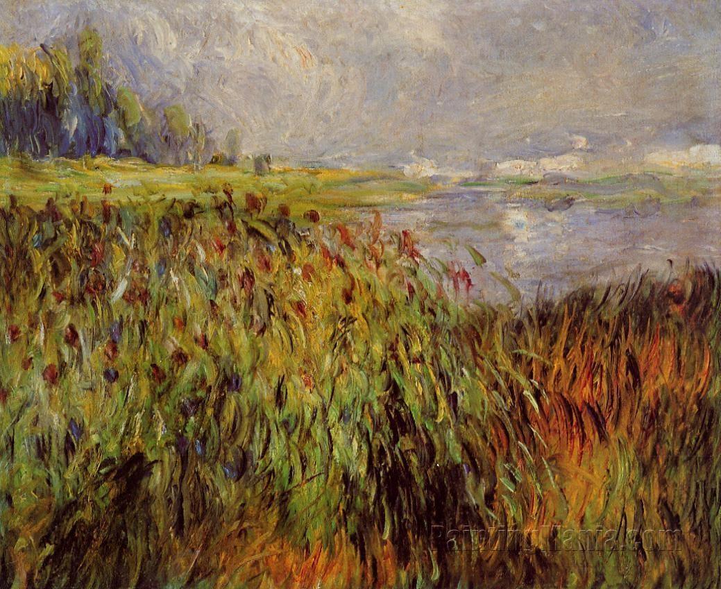 Bulrushes on the Banks of the Seine