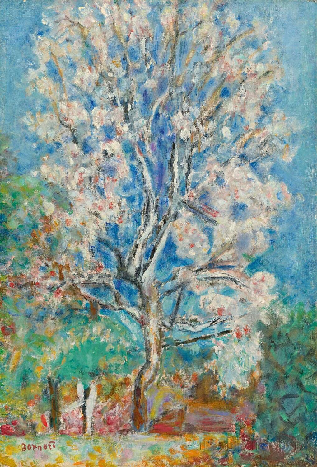 The Almond Tree (L'Amandier)