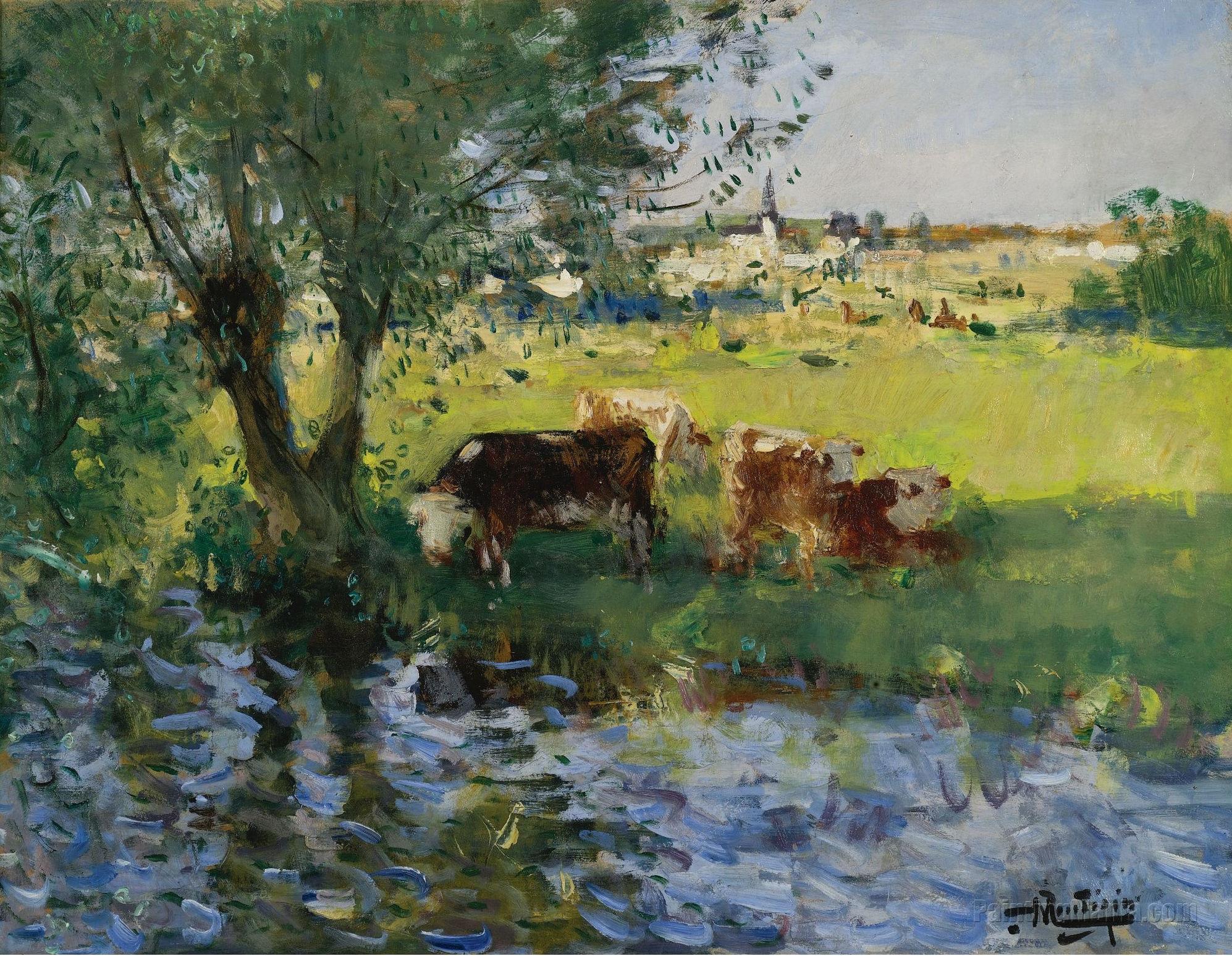 Cows in the Willow's Shade
