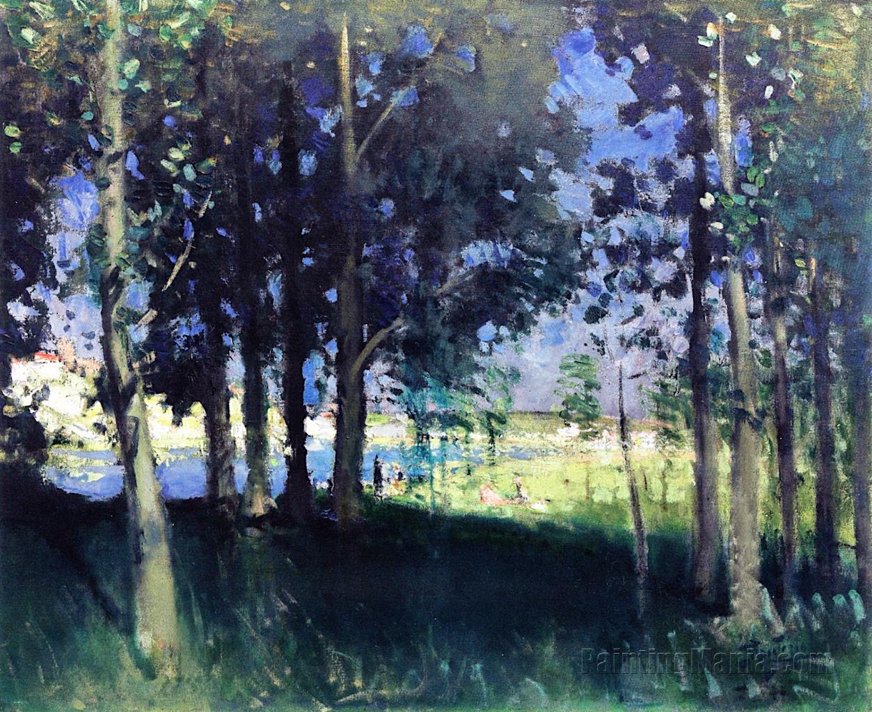 Landscape in Forest