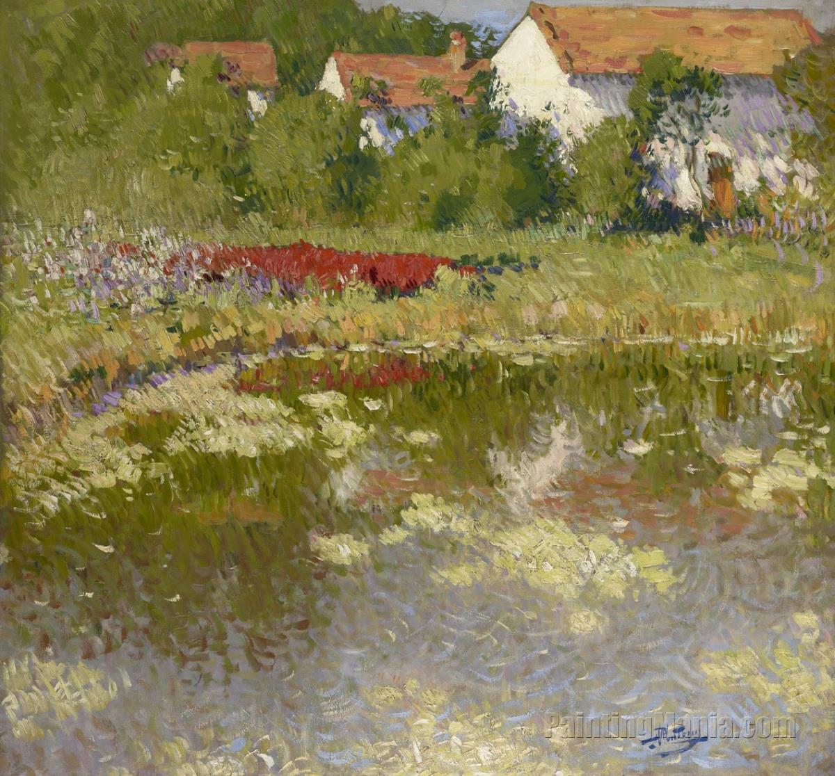 Pond with Poppies