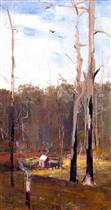 A Primeval Clearing, Gembrook