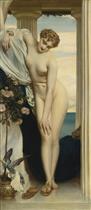 Venus Disrobing for the Bath
