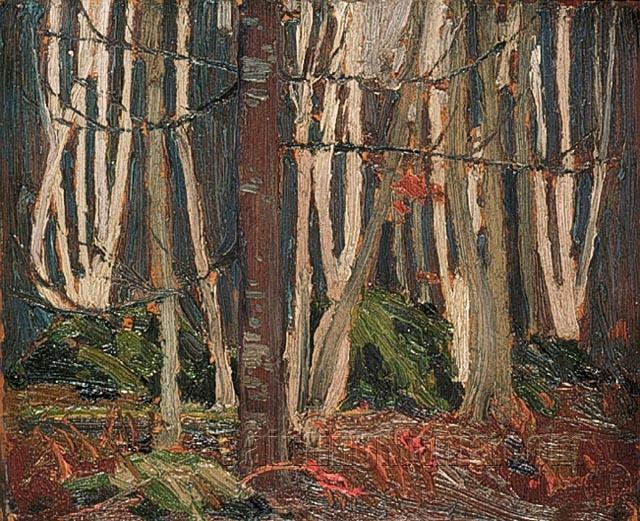 Birch Woods in Autumn