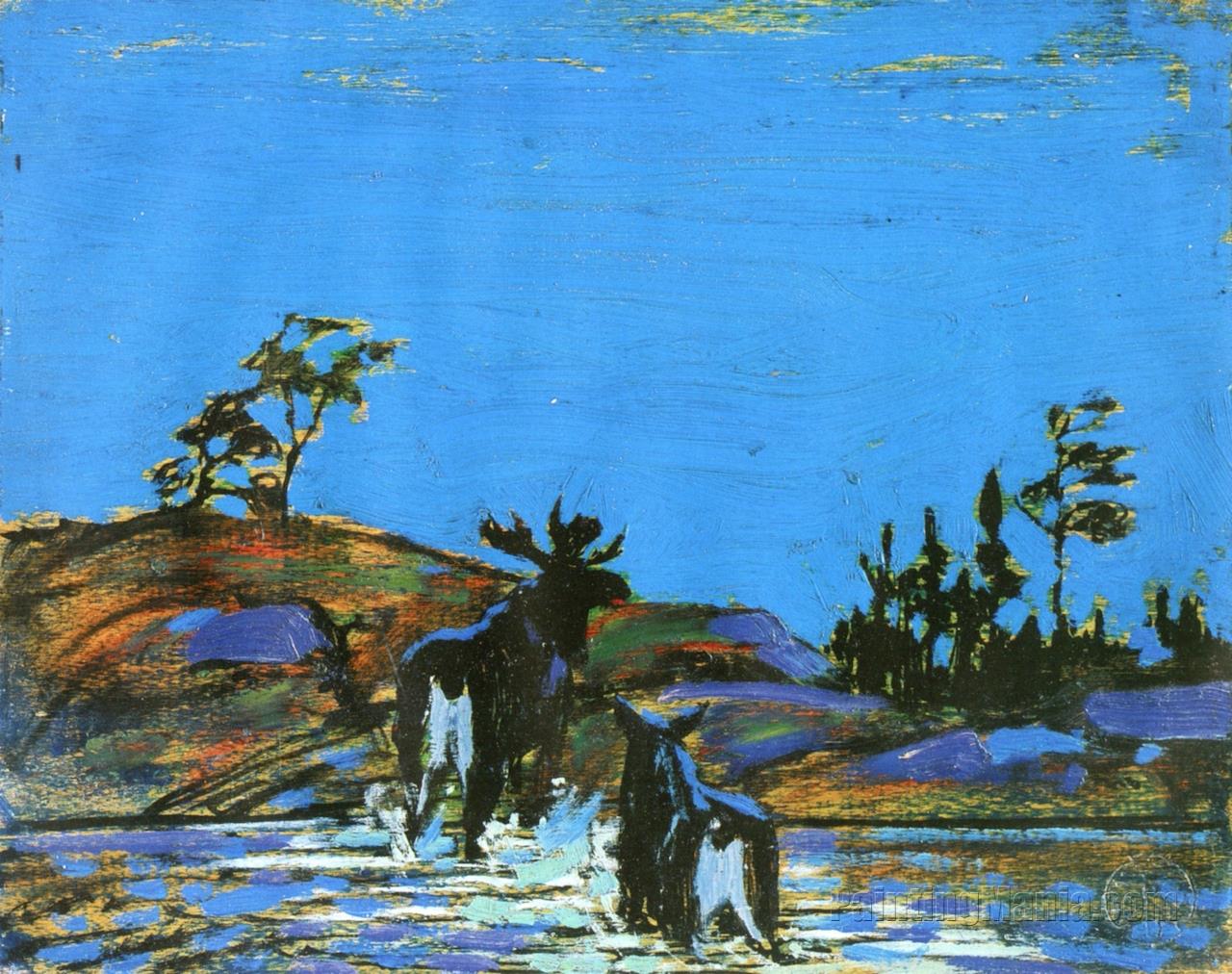 Moose at Night