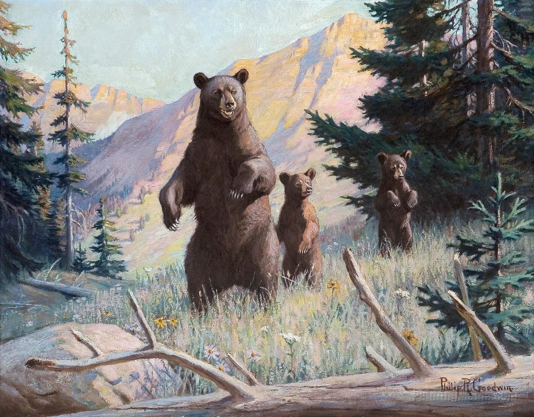 Bear with Cubs