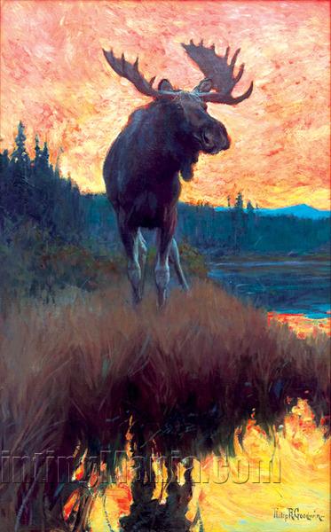 Moose Against Skyline